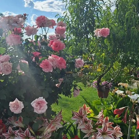 Marija, New 1bd With Free Parking 아파트 *